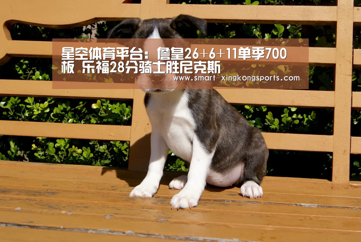 星空体育电脑版下载