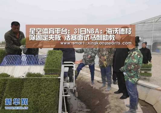 星空体育下载