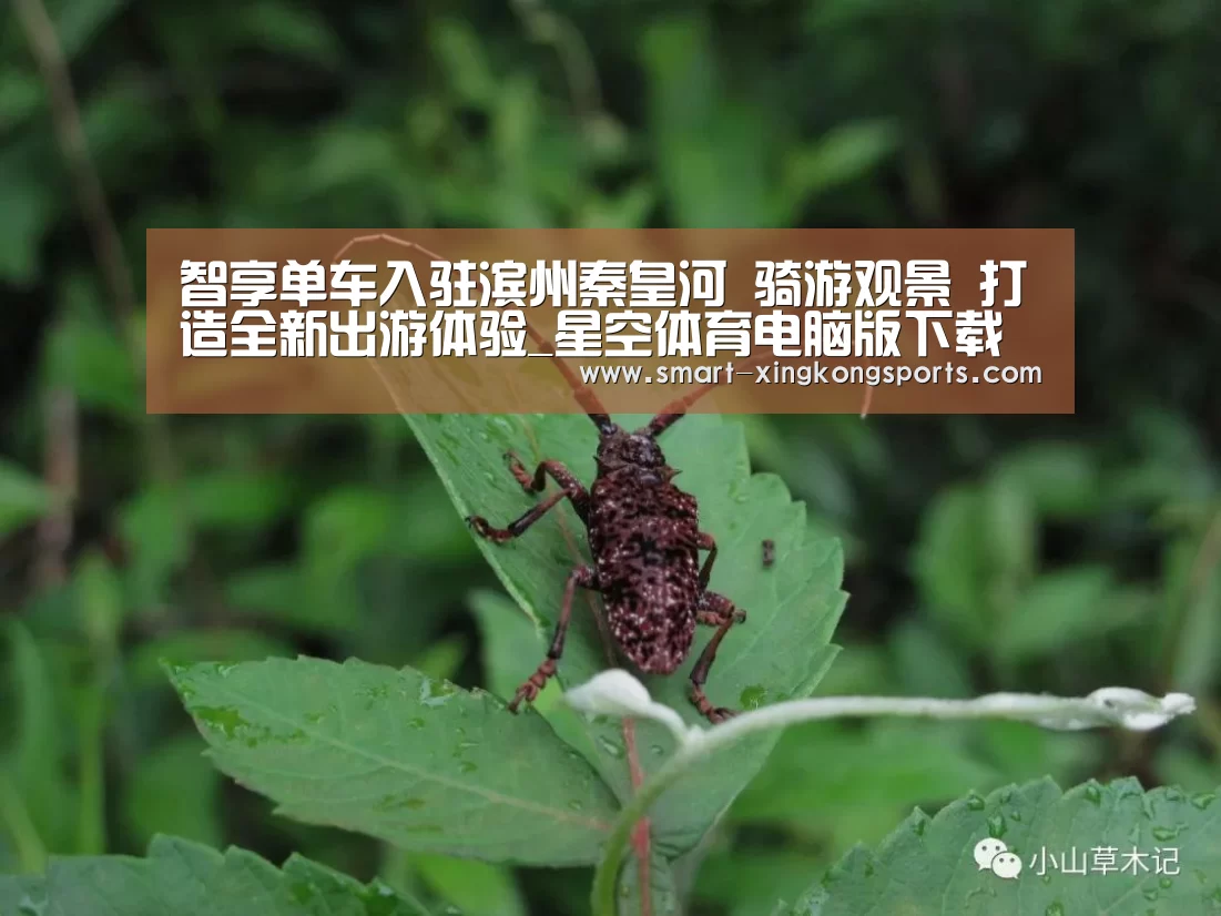 智享单车入驻滨州秦皇河 骑游观景 打造全新出游体验_星空体育电脑版下载(图1) 星空体育下载