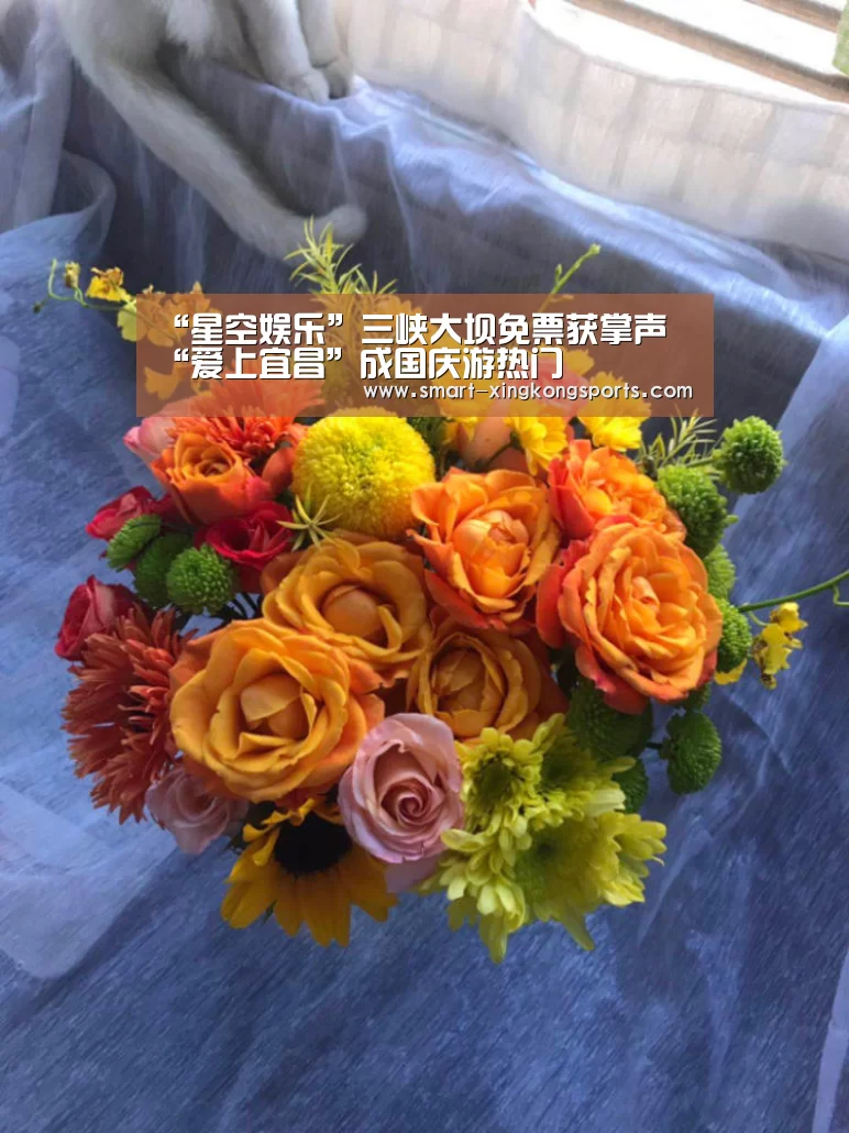 星空体育电脑版下载