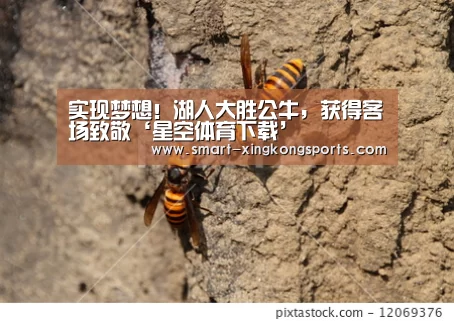 星空体育下载