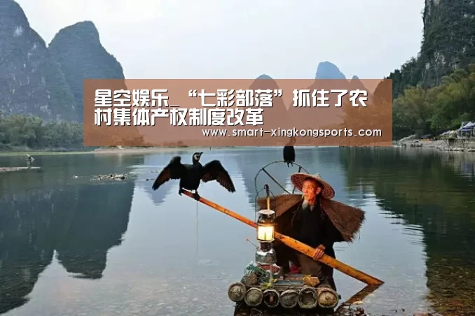 星空娱乐_“七彩部落”抓住了农村集体产权制度改革(图2) 星空体育下载